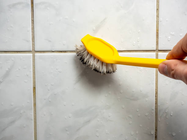 Best Emergency Mold Removal  in East Porterville, CA