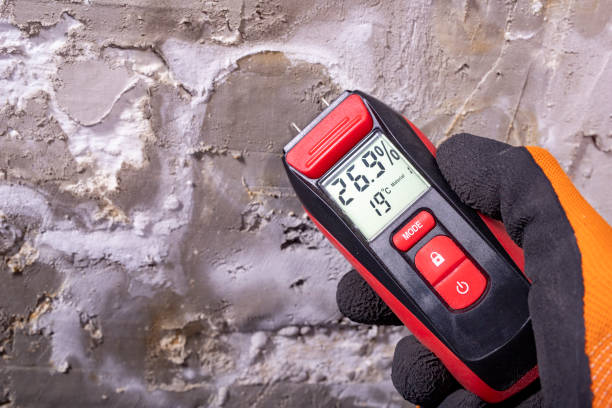 Best Mold Cleaning Services  in East Porterville, CA