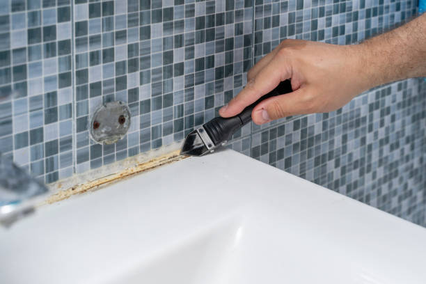 Best Mold Damage Repair  in East Porterville, CA